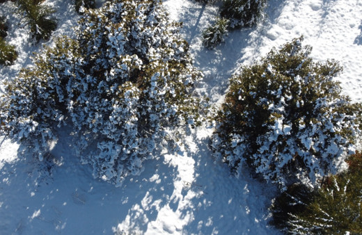 Beyaza bürünen Toroslar'da kartpostallık görüntüler oluştu