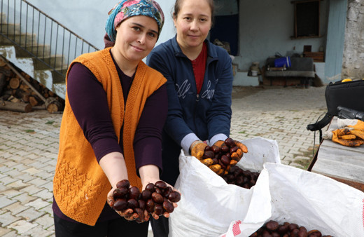 Kışın vazgeçilmez lezzeti kestanenin sofralara yolculuğu başladı