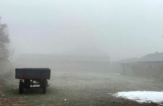 Ağrı’da sis ve don meydana geldi