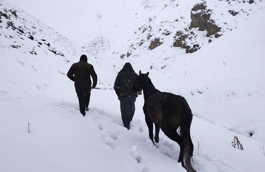Hakkari’de toynağı kopan at kurtarıldı