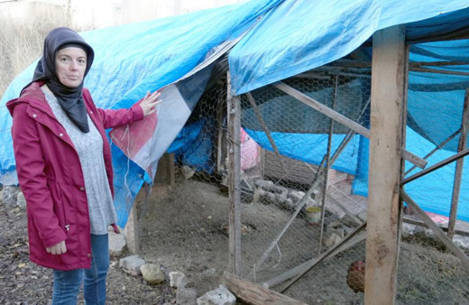 3 yıldır emek veriyordu! Sokak köpekleri 40 tavuğunu telef etti, talihsiz kadının hayalleri karardı