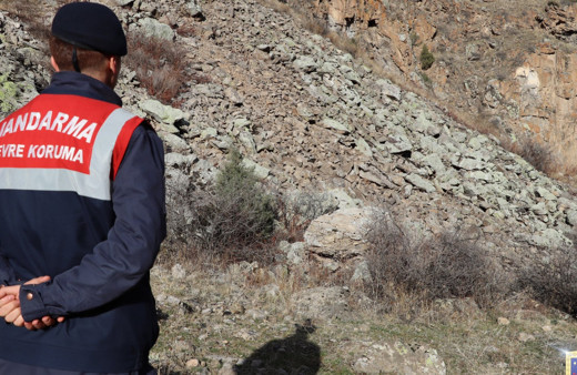 Jandarma paylaştı! Burada bir 'vaşak' var! Görebildiniz mi?