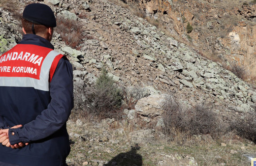 Jandarma paylaştı! Burada bir 'vaşak' var! Görebildiniz mi?