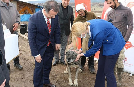 Bu hastalık köpeklerden insanlara bulaşıyor!