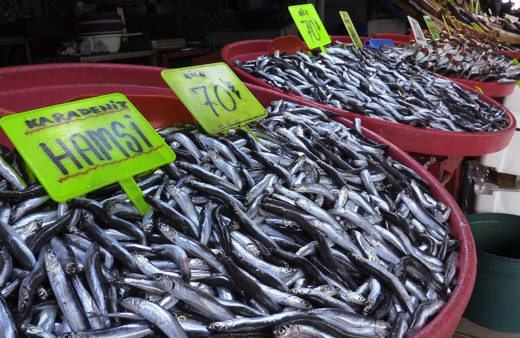 Bandırma’daki balık halinde hamsi ve istavrit bolluğu yaşandı