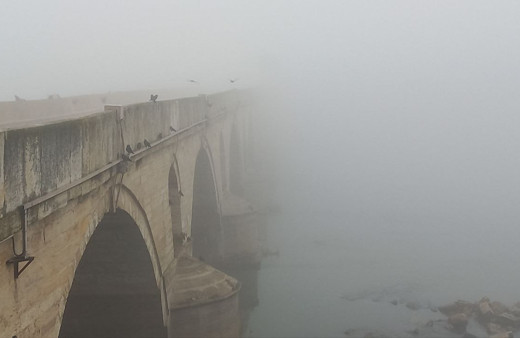 Edirne yoğun sis, göz gözü görmüyor
