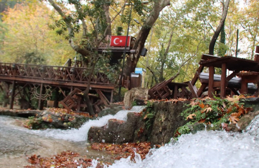 Dağılcak Tabiat Parkı'nda asırlık çınarlar görsel şölen oluşturdu