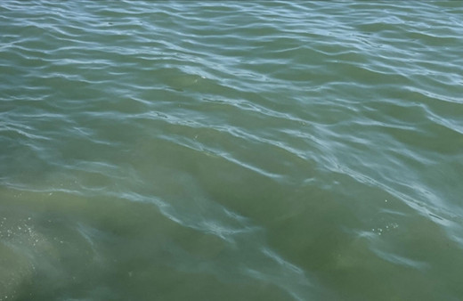 Denizi kirleten 35 gemiye ceza yağdı!