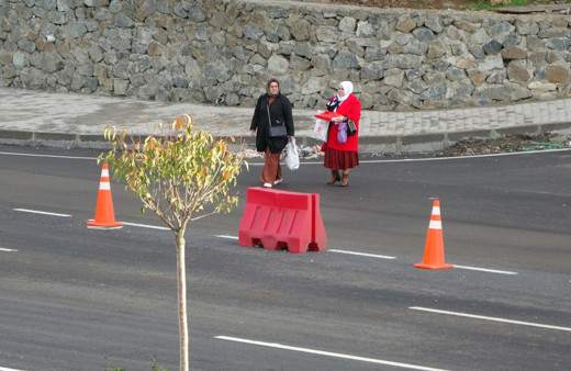 Hızlı seyreden araçlara rağmen yolun karşısına geçmeye çalışıyorlar