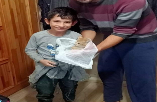 8 yaşındaki çocuk yavru kediyi kurtardı