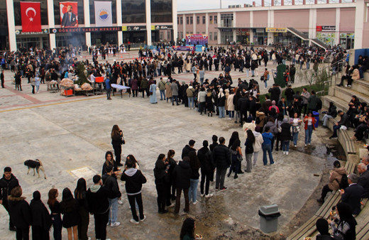 Sinop'ta şenlikte öğrencilere bir ton hamsi ikram edildi