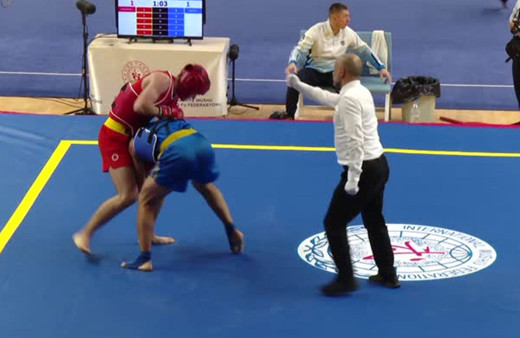 Avrupa Wushu Şampiyonası, İstanbul'da başladı