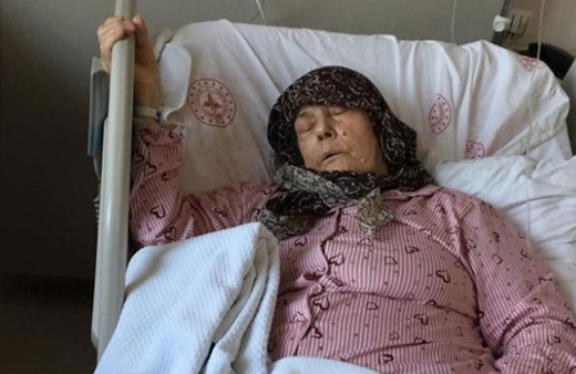 Başıboş köpekler 84 yaşındaki kadına saldırdı!