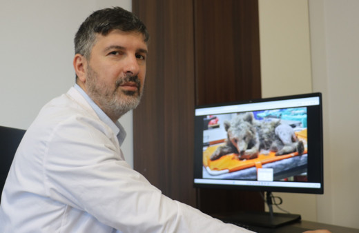 Uzmanı uyardı: “Bu dönemde ormanlık alanlardan uzak durun”