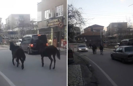 Bursa’da başıboş atlar trafiği karıştırdı!