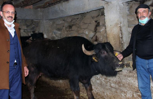 273 manda işletmesine 5 milyon TL destek ödemesi!