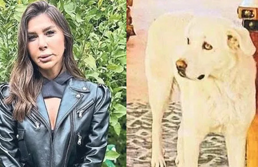 Stilist Sinem dehşeti yaşadı, sokak köpeği dudağını parçaladı! Meğer sahipliymiş gibi çip taktırıp...