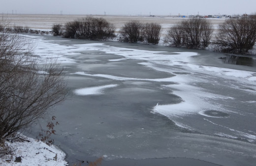 Ardahan'da Kura Nehrinin yüzeyi dondu