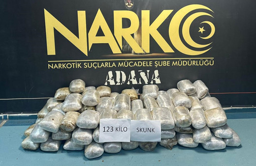 Küçükbaş hayvan yüklü tırda 123 kilogram uyuşturucu ele geçirildi