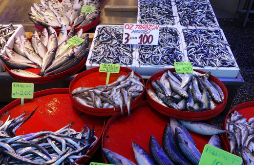 Karadeniz’de son 25 yılın en bereketli günü, hamside bolluk yaşandı