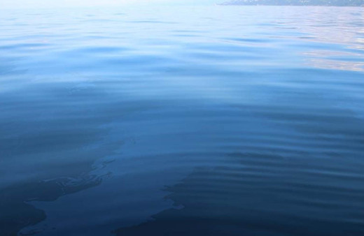 Karadeniz'de petrol rüyası gerçek oldu! 'Günde 1 ton denizin yüzeyine çıkıyor'