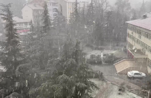 Denizli'nin Çameli ilçesinde etkili olan yoğun kar yağışı hayatı olumsuz etkiledi