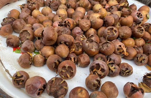 Alaşehir'de şifa kaynağı muşmula yok satıyor