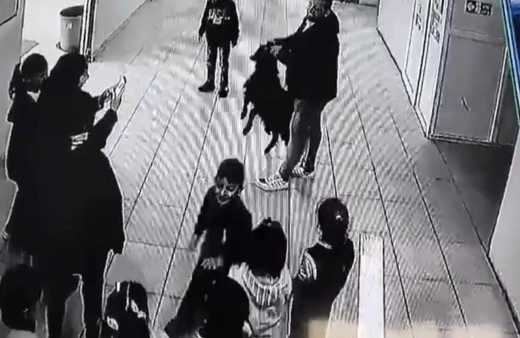 Yağmurdan kaçan keçi köy okuluna sığındı, gülümseten görüntü ortaya çıktı