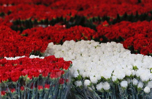 Yılbaşında dünyayı Türk çiçekleri süsleyecek!