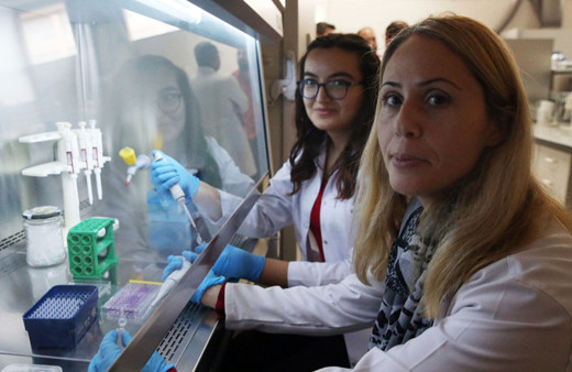 Orman gülü bitkisinden yara kremi ile yenilebilir film üretilecek