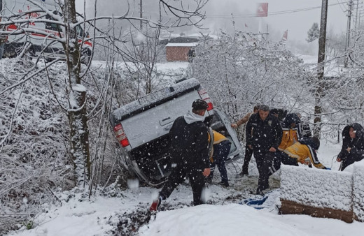 Kamyonet bahçeye uçtu, karı koca yaralandı
