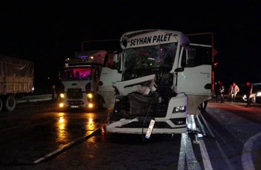 Kırmızı ışıkta duran mandalina yüklü kamyona tır çarptı