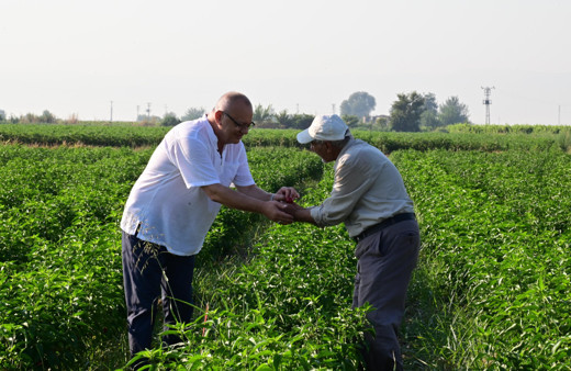 Manisalı çiftçiye 150 milyonluk destek verildi