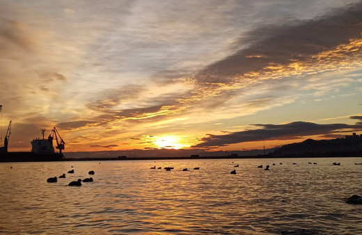 Aralık ayının sonunda sıcaklık mevsim normallerinin 10 derece üstüne çıktı