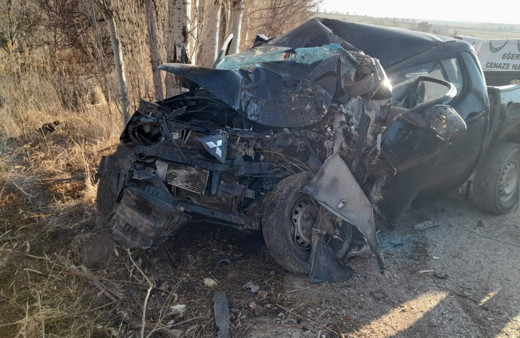 Kamyonet ağaca çarptı, sürücü hayatını kaybetti