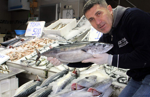 Toriklerin tanesi 400 liradan satıldı!