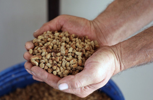 Büyükşehir can dostlar için mama üretiyor