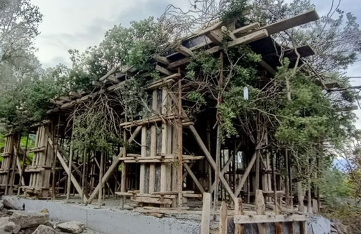 Bodrum'da ağaç dallarıyla gizlenmeye çalışılan kaçak inşaat tespit edildi