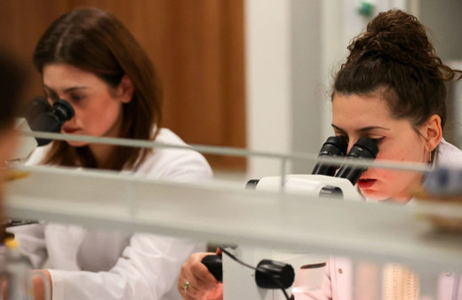 Arı zehri tümör hücrelerini yok ediyor!