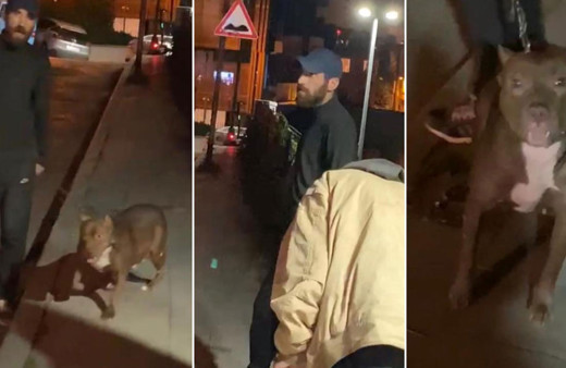 Tartıştığı kişinin üzerine Pitbull köpeğini saldırttı!