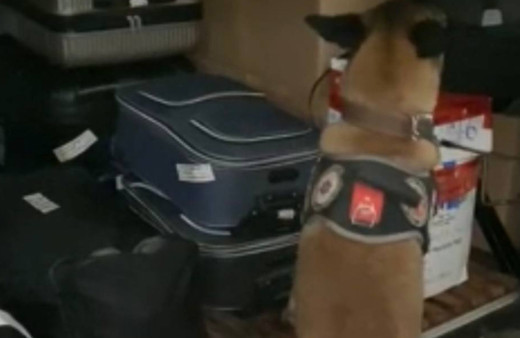 Osmaniye’de ’Narkogüç’ operasyonunda 3 kişi gözaltına alındı