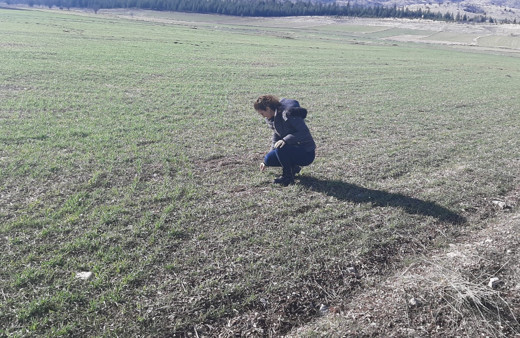 Çiftçiler ekinlere zarar veren kambur böceği konusunda bilgilendirildi