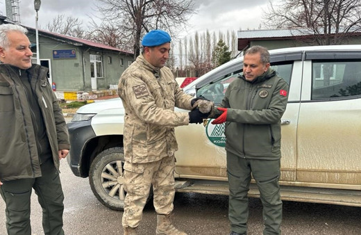 Yaralı atmacaya jandarma ekipleri sahip çıktı