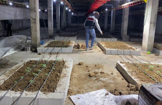 Tavuk çiftliğine uyuşturucu operasyonu!