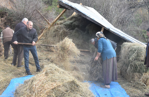 Heyelanda ahır çöktü, hayvanlar telef oldu!