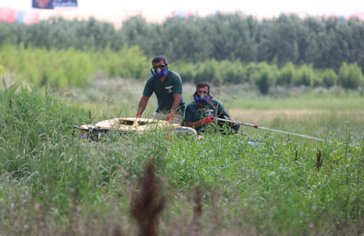 Yaz sezonu boyunca 127 personelle sivrisinekle mücadele