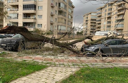 Ağaçları devirdi, çöp konteynerlerini sürükledi