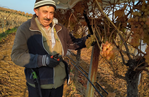 Bir yandan budak yapıyorlar bir yandan üzüm yiyorlar