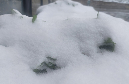 Tekirdağ’ın bazı ilçelerinde eğitime kar engeli