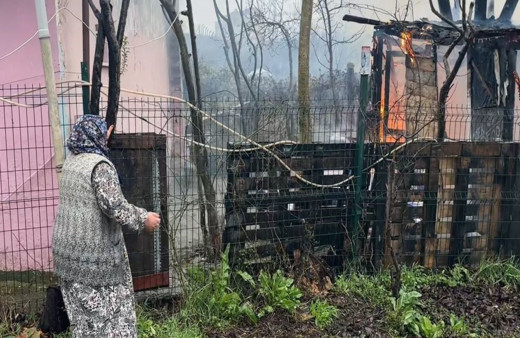 Ahıra kurulan soba hayvanları telef etti, yaşlı kadın sinir krizi geçirdi